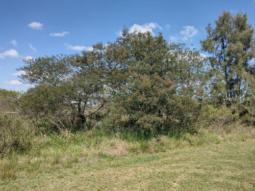 Imagen 25 de 30 de Campo En Venta Zona Polo, Pilar, Con 2 Canchas De Polo Y Varias Mejoras