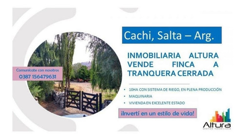 Imagen 14 de 17 de Chacra - Cachi Adentro