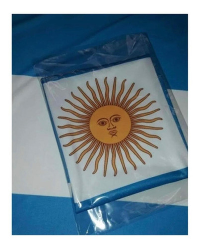 Bandera Argentina 90 X 150cm Mundial