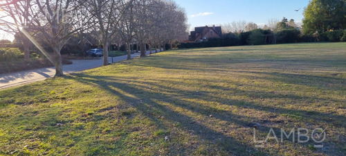Venta Lote Terreno Pilar Martindale C. C.