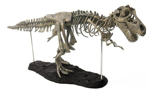 Tyrannosaurus Rex Esqueleto Dinosaurio Juguete Animal