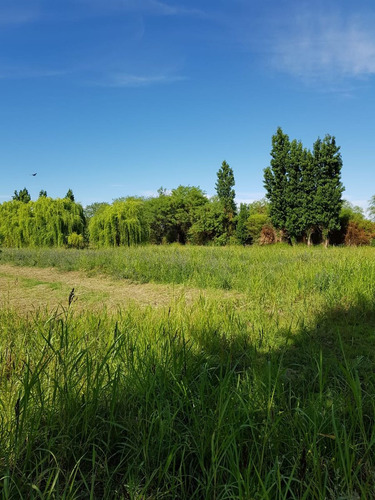 Venta Quinta Con Estanque Propio