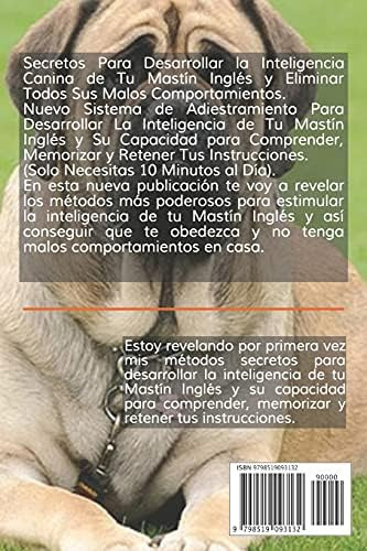 Libro: Cómo Aumentar La Inteligencia De Un Mastín Inglés: Un