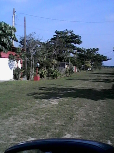 Imagem 9 de 14 de Lotes Ilha Comprida