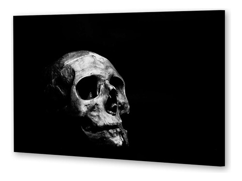 Cuadro 50x75cm Calavera De La Muerte Antigua Skull P2