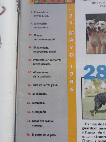 Revista Perros Y Compañia N° 24 Año 1996 Pit Bull Rottweiler (Usado)