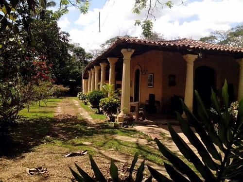 Imagen 7 de 11 de Finca En Venta En Bejuma, Carabobo