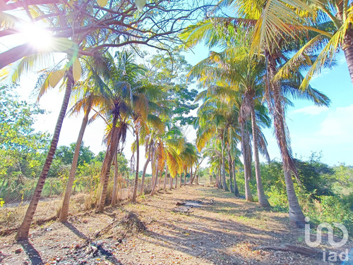 Venta Rancho 0 Ambiente Puerto México