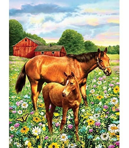 Pintura Numero Caballo Campo