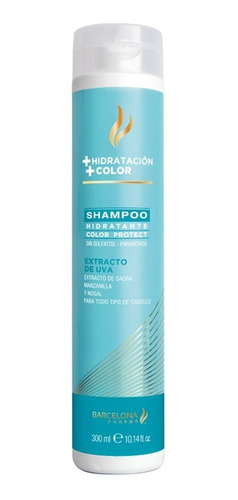 Shampoo Hidratante Protector Color Libre De Sulfatos 300ml