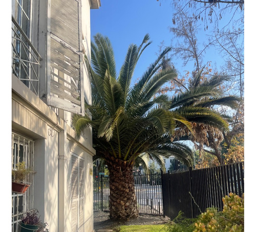 Hermoso Departamento Excelente Oportunidad