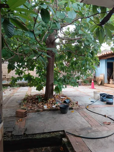 Casa En Venta Remodelar. (nc)