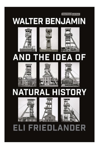 Libro: Walter Benjamin Y La Idea De La Historia Natural En
