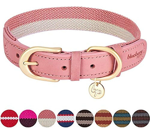 Blueberry Pet 11 Colores, Correas De Tejido De Poliester Y