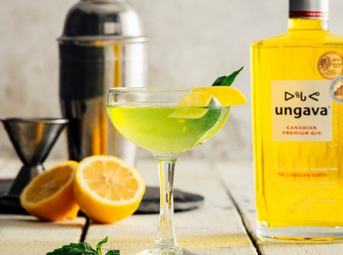 Imagen 3 de 5 de Gin Ungava 1000ml Canadian Premium Gin