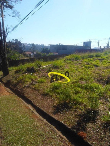 Imagem 5 de 9 de Terreno À Venda, 1015 M² Por R$ 300.000,00 - Chácara Represinha - Cotia/sp - Te0819