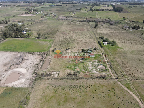 Chacra En Venta 7 Has. Montevideo Rural, A 1 Km De Camino Mendoza
