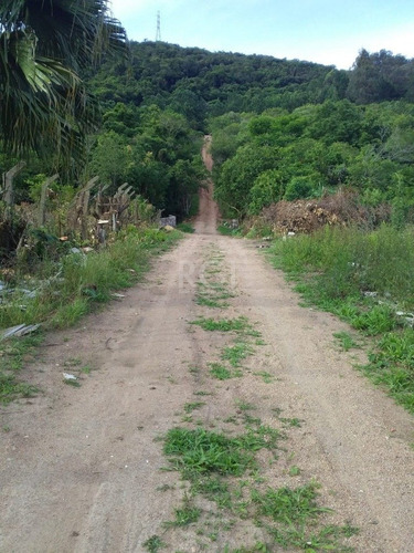 Terreno Em Vila Nova - Li50879502