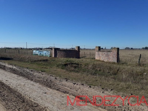 Imagen 2 de 21 de Terreno En Venta En Domselaar