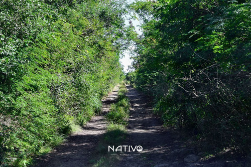 Imagen 19 de 30 de Terreno En Venta En Yucatan A 9 Min De La Playa Telchac Nati