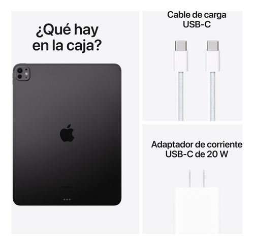 Apple iPad Pro 13 Chip M4 Wifi 256 Gb Gris Espacial