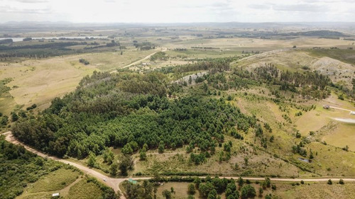 Chacra En Punta Ballena, Maldonado