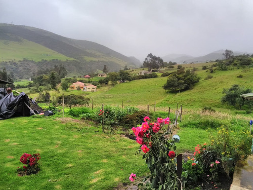 Se Vende Finca En Sta. Barbara. Guasca.