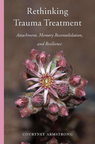 Libro Rethinking Trauma Treatment: Attachment, Memory Reco