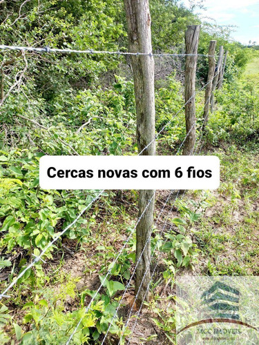 Imagem 7 de 18 de Chácara A Venda Lagoa Das Pedras, Povoado Mandú