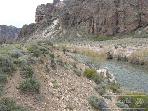 Campo En Venta De 635 Has Bariloche, Costa Del Pichileufu, Rio Negro.