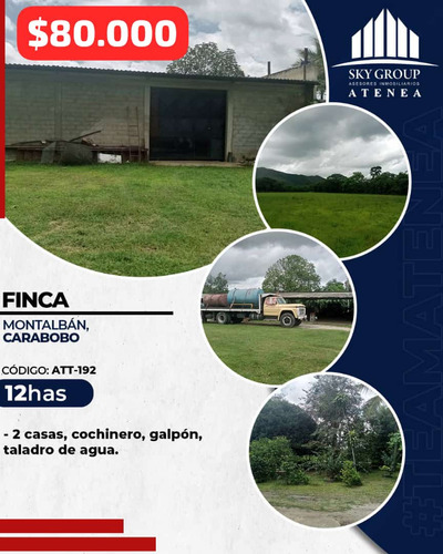 Luisa Mezones Vende En Venta Bella Finca En Montalban Edo Carabobo