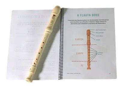 Imagem 1 de 3 de Curso De Flauta Doce + Flauta Yamaha De Brinde