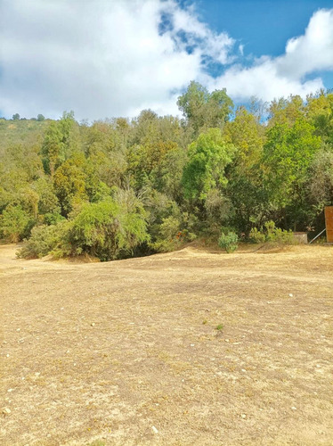 Oportunidad !! 10 Hectareas En Venta En Colliguay