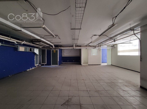 Renta - Oficina - Mariano Escobedo - 700 M2 - Piso 1