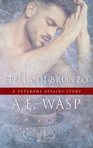 Libro: Stella Di Bronzo: A Veteran Affairs, Vol.4 (a Veteran