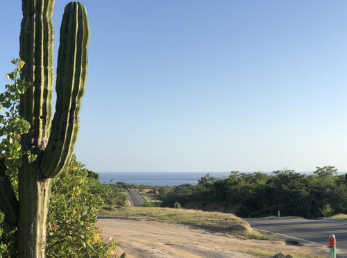 Zacaton Playa Tortuga, Zacaton Developer Land