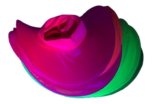 Imagen 2 de 10 de Combo Gorros Fluo 25 Personas Solo Gorros Sombrero Galera