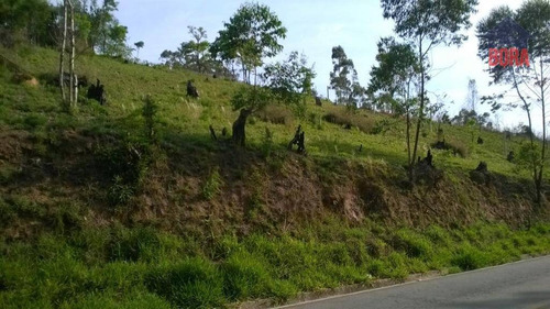 Imagem 3 de 4 de Terreno À Venda, 2000 M² Por R$ 220.000 - Pirucaia - Mairiporã/sp - Te0240