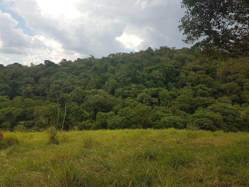 Imagem 14 de 14 de Terreno, Centro, Pirapora Do Bom Jesus - R$ 1.200.000,00, 430m² - Codigo: 234967 - V234967