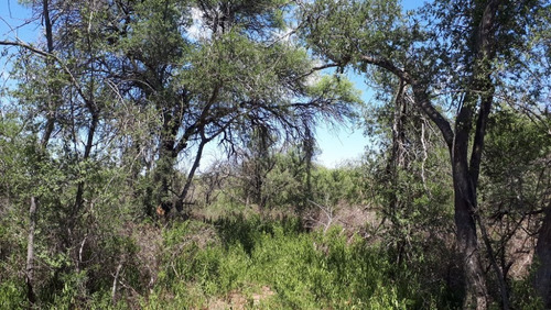 Imagen 7 de 14 de Vendo Lotes De 1000-1500 M² En El Rincón - San Marcos Sierra