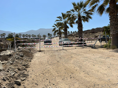 Terreno En Las Tacas Para Desarrollo 6.000m2