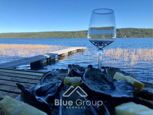 Parcela En Venta De 5000m2 En Lago Tarahuín Chiloé Chonchi