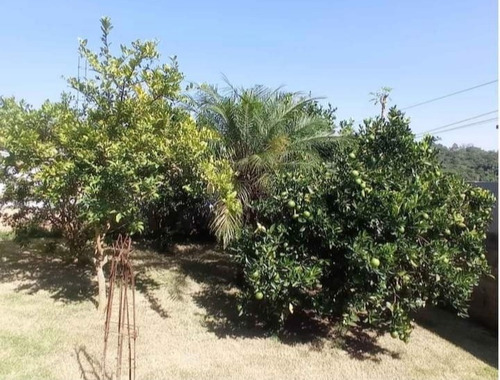 Imagem 16 de 18 de Pj Pequena Chácara A Venda