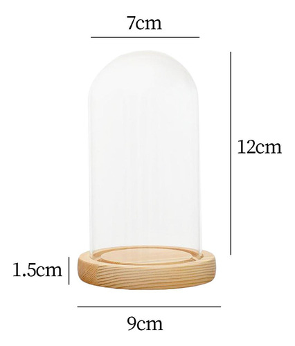 Mox Cúpula De Vidrio Cloche Bell Jar Base De Madera 7x12cm