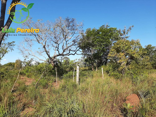 Imagem 3 de 12 de Fazenda À Venda Em Nova Olinda - To - 968 Hec (pecuária) - 1876