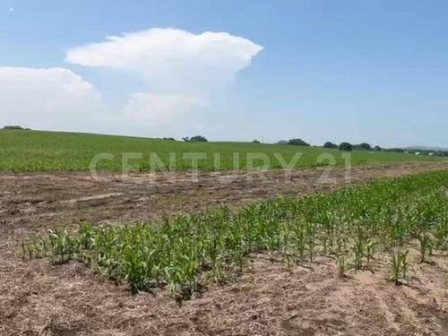 Terreno Venta 68.5 Hectáreas Zona Cercana Parque Industrial Santa Rita Veracruz