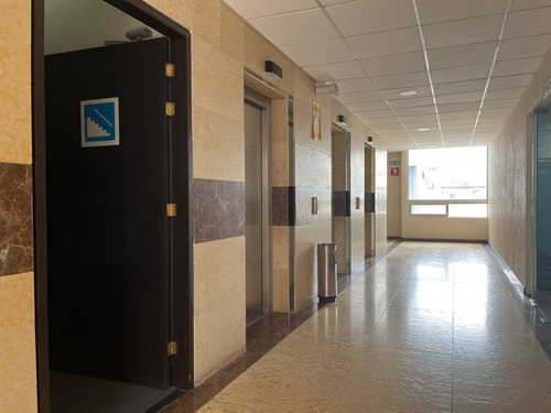 Oficina En Renta- Hamburgo - Piso 3 - 185m2