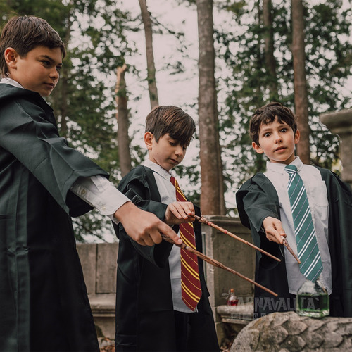 Imagen 5 de 10 de Corbata Gryffindor Hogwarts Harry Potter Disfraz