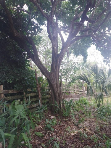 Rancho De Cerca De Valladolid 280 Hectareas En  Propiedad Pr