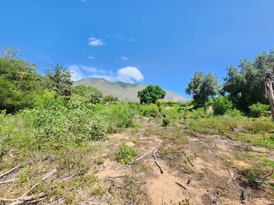 Terreno en venta